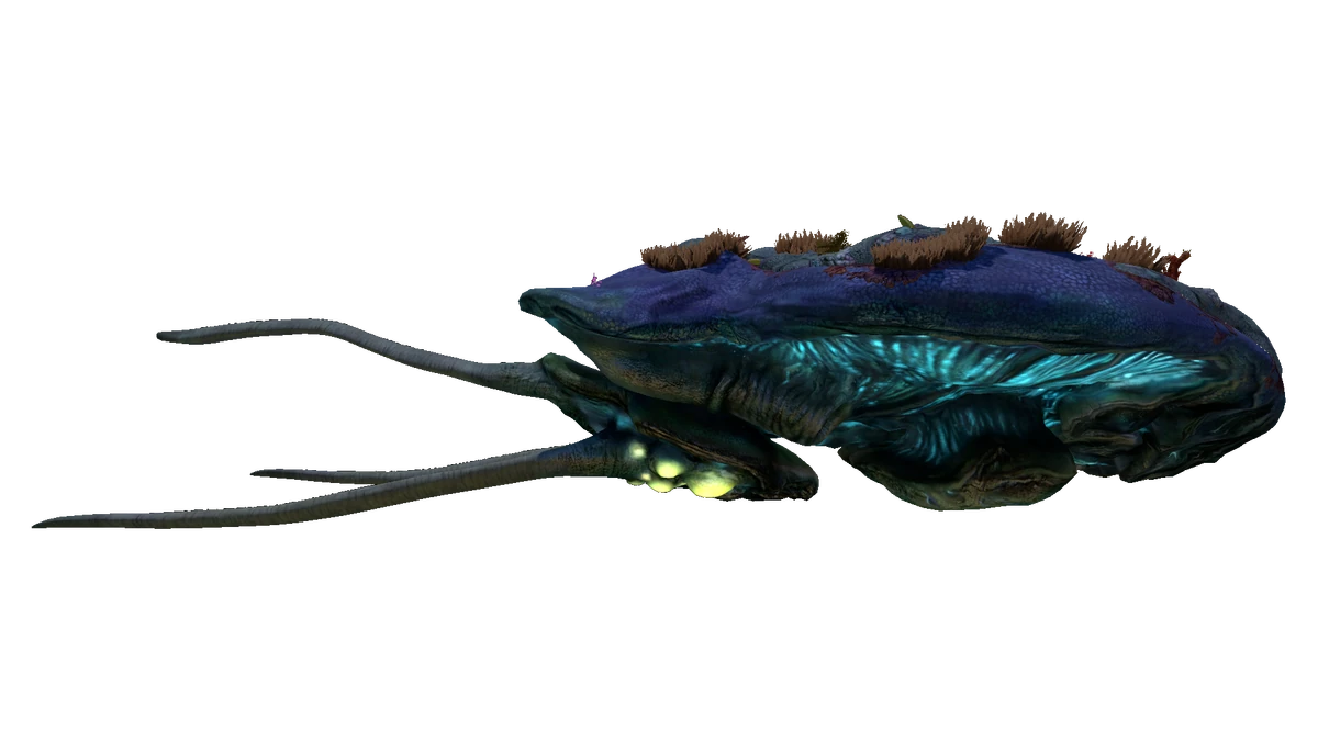 reefback Leviathan